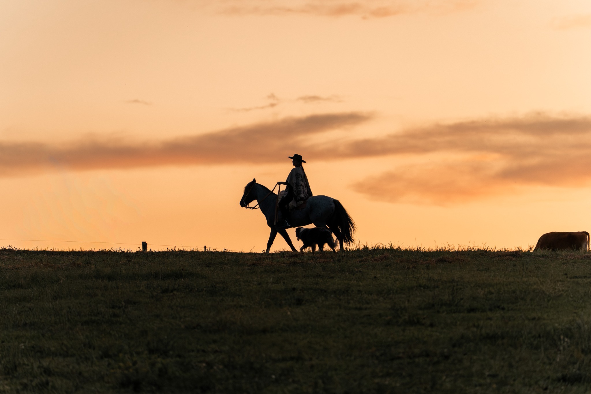 Cavaleira ao pôr do sol na campanha de verão
